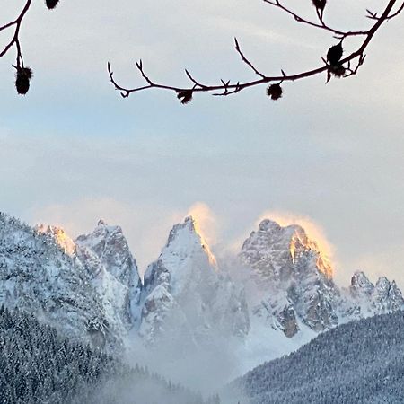 Bed and Breakfast Fra Rose E Mughi Domegge di Cadore Exterior foto