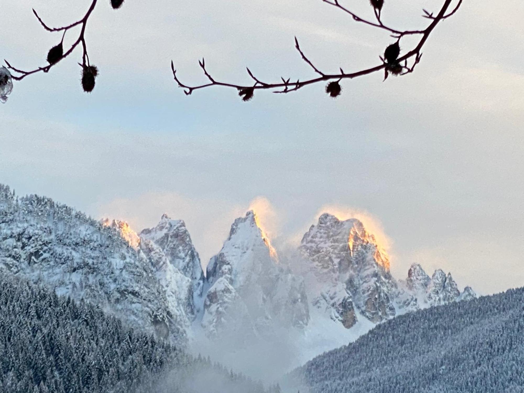 Bed and Breakfast Fra Rose E Mughi Domegge di Cadore Exterior foto