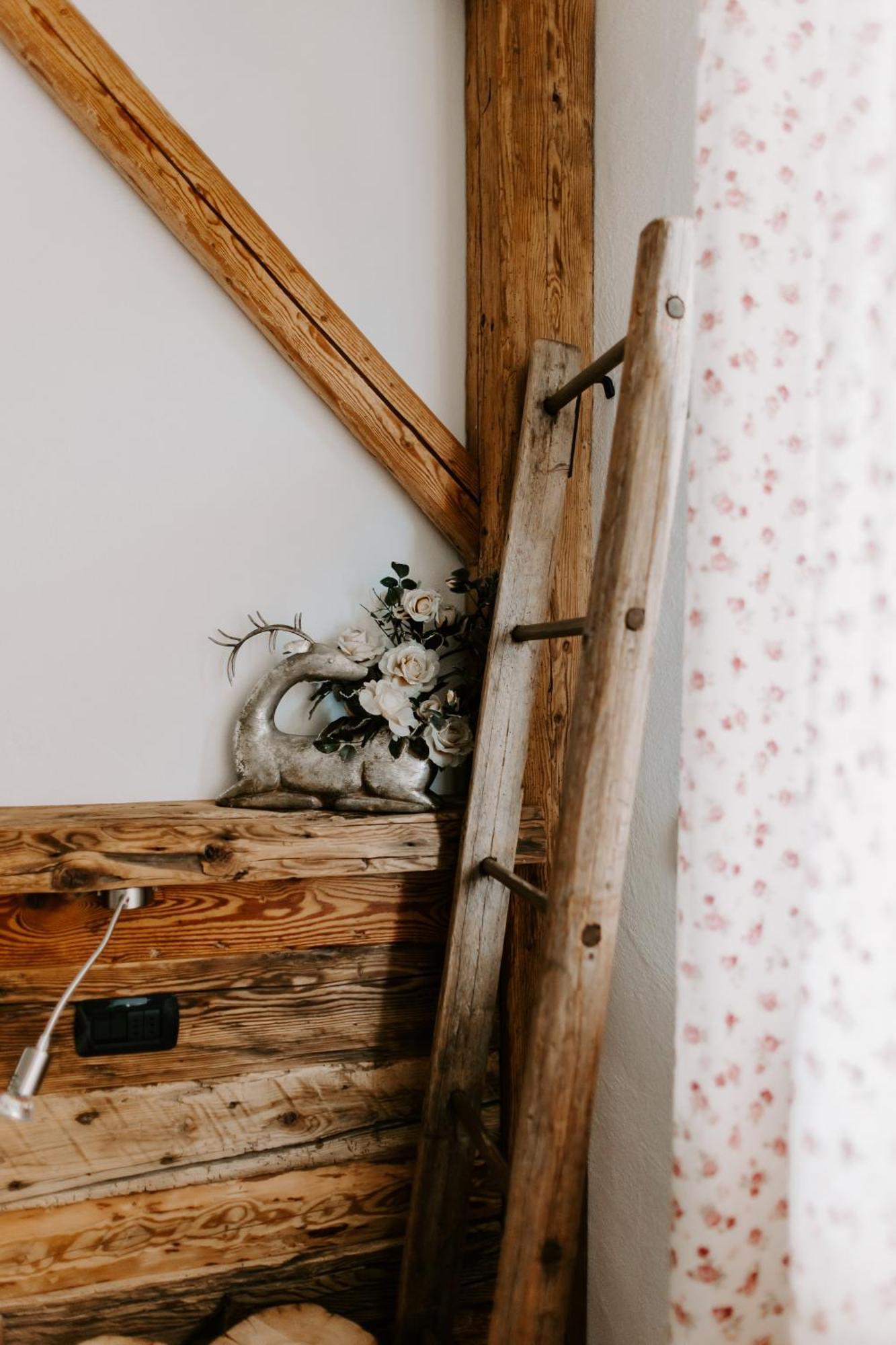 Bed and Breakfast Fra Rose E Mughi Domegge di Cadore Exterior foto