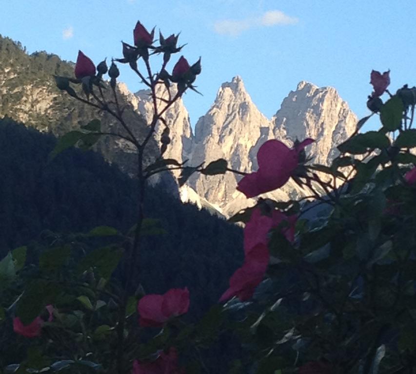 Bed and Breakfast Fra Rose E Mughi Domegge di Cadore Exterior foto