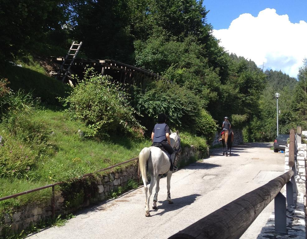 Bed and Breakfast Fra Rose E Mughi Domegge di Cadore Exterior foto